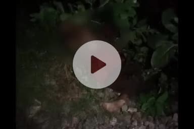 बलरामपुर: संतोषी माता मंदिर क्रॉसिंग के पास ट्रेन से गिरकर 50 वर्षीय व्यक्ति की मौत, जांच पड़ताल में जुटी पुलिस