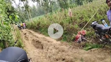 अमरोहा: रजबपुर में दबंगों ने खड़ी फसल पर चलाया ट्रैक्टर, पेड़ भी काटे, दी तहरीर