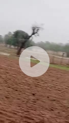 hanupura gai me adhik barish hue