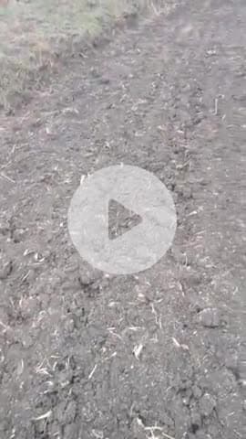 धान और सोड़ाबीन दोनों की भरपूर तैयारी चल रही हैं