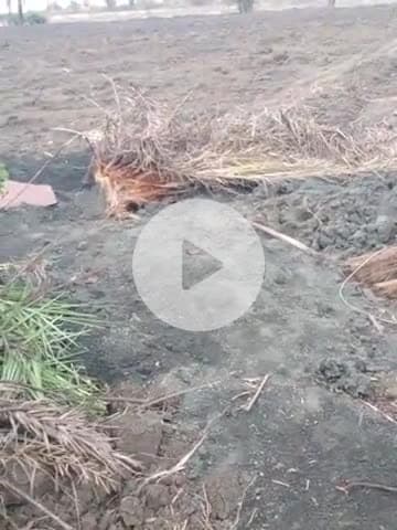 ग्राम सियारी में गड्ढा होते जा रहे दिनों दिन फैल जल स्तर पहुंचा बहुत नीचे।