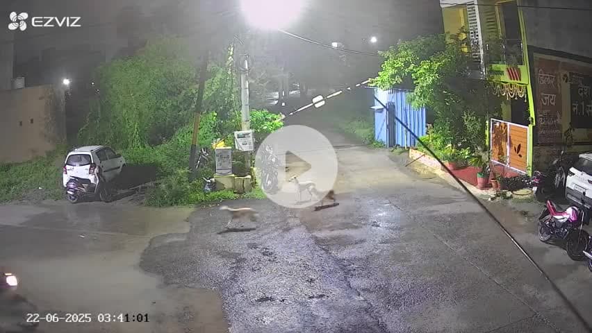 gulmohar green colony gard hone ke bad bhi bike chori ho gai Aram se le jata hua chor.
bike no. mp09vj2740