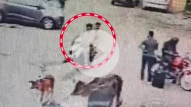 कानपुर: नवाबगंज में दरोगा ने पहले दीनू गैंग के शातिर को किया इशारा, फरार होने के बाद दी दबिश, वीडियो हुआ वायरल