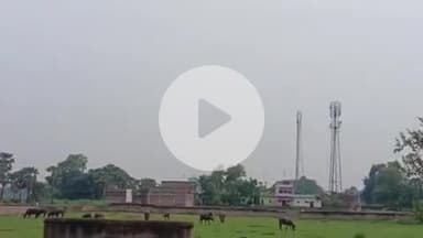 सरमेरा: सरमेरा कब्रिस्तान में चाहरदीवारी न होने से मवेशी चर रहे चारा