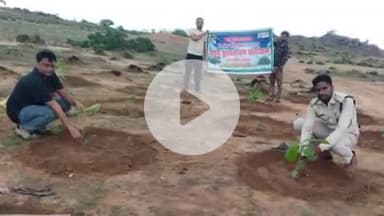 जतारा: वन परिक्षेत्र जतारा में वृक्षारोपण महाकुंभ शुरू, 'एक पेड़ मां के नाम 2.0' के तहत 1.50 लाख पौधे लगाए जा रहे