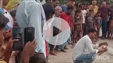 गोपालगंज: पैठानपट्टी गांव में महिला को सांप ने काटा, अस्पताल में भर्ती; वन विभाग ने किया सांप का रेस्क्यू