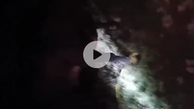 मिलक: बजरंग दल के नेताओं ने नरखेड़ा गांव के जंगल से 6 प्रतिबंधित पशुओं को वध से बचाया, पुलिस के अफसरों को दी जानकारी