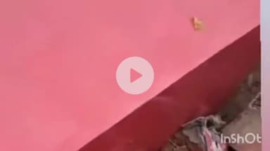 तरारी: मोपती में मंदिर तोड़ने के मामले की जांच के लिए एक विशेष टीम का गठन किया गया है