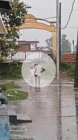 पीलीभीत: गजरौला कला में हल्की बारिश के बाद जल भराव की स्थिति का जायजा लेने पहुंचे एसडीएम, समाधान का दिया आश्वासन