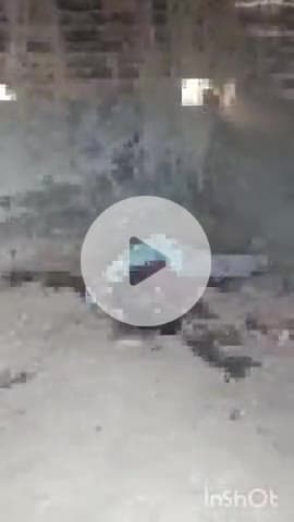 बहराइच: नगरौर इलाके के अमरूद के बाग में मिला किशोर का शव, ईंट से कूच कर निर्मम हत्या, आईफोन के चक्कर में हत्या की आशंका