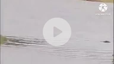 खरगौन: खरगोन: जगदान नाले पर बना ₹30 करोड़ का फ्लाईओवर