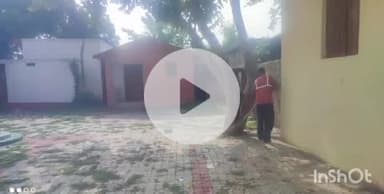 शिवहर: डीएम के निर्देश पर डुमरी कटसरी प्रखंड में चलाया गया स्वच्छता अभियान