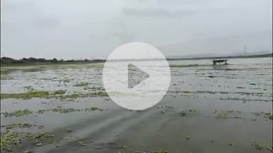 पीपलदा: कोटा बैराज के गेट खुलने से चंबल नदी में पानी की आवक बढ़ी, झरेर पुलिया पर 2 फीट पानी, इटावा-खातोली मार्ग अवरुद्ध