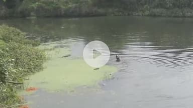 खरगौन: खरगोन के ग्राम बिलखेड़ नदी में मिला छात्रा का शव, इलाके में फैली सनसनी, पुलिस कर रही जांच