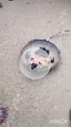 जानसठ: जानसठ कस्बे के बुध बाजार में कूड़ेदान के पास तड़पता मिला जीवित नवजात शिशु, वीडियो सोशल मीडिया पर हुआ वायरल