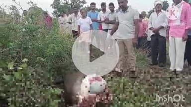 समुद्रपूर: भवानपुर गावाशेजारील गोठ्यात वाघाच्या हल्ल्यात म्हैस ठार, शेतकरी व गावकऱ्यांना वनविभागाचे सतर्कतेचे आवाहन