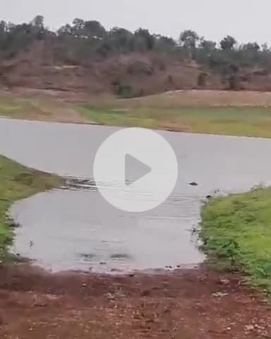 खरगौन: जगदन नाले पर बनेगा 447 मीटर का फ्लाओवर, भीकनगांव और झिरन्या का कारोबार बढ़ेगा