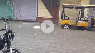 झांसी: जिले में झमाझम बारिश से मोहल्लों में भरा पानी, 3 दिन भारी बारिश का अलर्ट