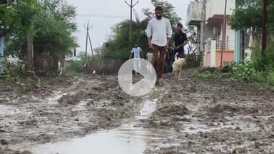 बीना: साईं धाम कॉलोनी में पक्की सड़क का नहीं कराया गया निर्माण, बारिश के मौसम में कीचड़ से परेशान हुए लोग #jansamasya