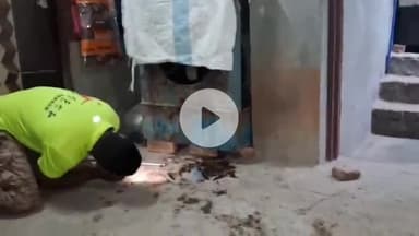 लाडपुरा: कोटा में रायपुरा स्थित मकान में घुसा 3 फीट लंबा कोबरा सांप, रहवासी दहशत में, सांप का रेस्क्यू कर जंगल में छोड़ा गया