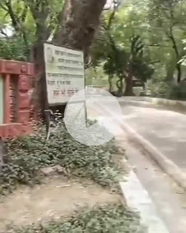 कानपुर: कानपुर चिड़ियाघर 42 दिनों से बंद, बर्ड फ्लू की तीसरी रिपोर्ट का इंतजार, नेगेटिव रिपोर्ट आने पर खोले जाने का होगा फैसला