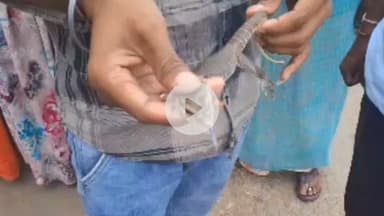 बूंदी: तालेड़ा: सर्प मित्र ने बरुन्धन कस्बे में गोयरे का किया रेस्क्यू, सुरक्षित वन में छोड़ा