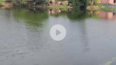 नाथनगर: किशनपुर के तालाब में बकरी को बचाने में दो बच्चियों की डूबने से हुई मौत