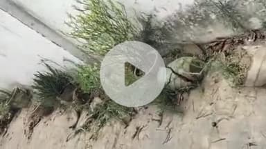 सिराथू: सौरई बुजुर्ग के प्राइमरी स्कूल में अराजक तत्वों ने की तोड़फोड़, थाने में दर्ज कराई गई शिकायत