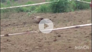 कटनी नगर: नन्हवारा खुर्द में संदीप चौधरी की मौत का मामला, एडिशनल एसपी संतोष डहेरिया का बयान आया सामने