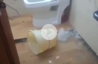 ग्वालियर गिर्द: आनंद नगर में हल्की बारिश से घरों में भरा पानी, वीडियो आया सामने