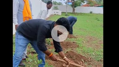 चांद: राजलवाड़ी में जनसंघ के संस्थापक डॉक्टर मुखर्जी के बलिदान दिवस पर किया गया पौधारोपण