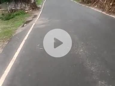 @araria Bihar# and belwa Bangali tola,,#wad no 5#laike#kare share kare please subscribe kare and follow kare please 🙏🙏