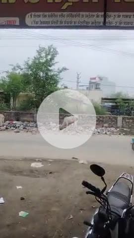 pisangan पावर हाउस के सामने बहुत ज्यादा कचरा  इकट्ठा हो गई है ......pisangan   को नगर पालिका बनाए जाने के बाद भी .....