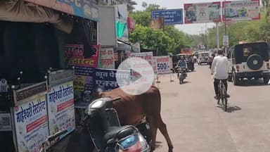 बूंदी: शहर के जिला अस्पताल के बाहर अतिक्रमण की भरमार, दुकानदार रोड पर अपने बोर्ड लगाकर कर देते हैं सड़क को सकड़ा