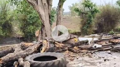 बटियागढ़: रजपुरा पुलिस थाने के सामने टूटकर गिरा पेड़, टला बड़ा हादसा