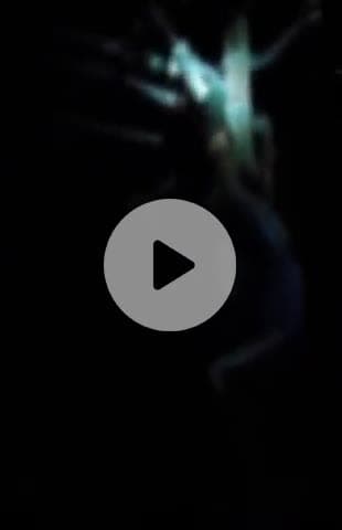 घाटमपुर: सजेती में लाइनमैन द्वारा पोल पर चढ़ाए गए किशोर की करंट लगने से हुई मौत, 2 घंटे तक लटका रहा शव