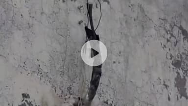 धनौरा: गजरौला शहर के इंदिरा चौक के पास अल्ट्रासाउंड सेंटर के पीछे से एसी के पाइप की चोरी, पीड़ित ने पुलिस को दी सूचना