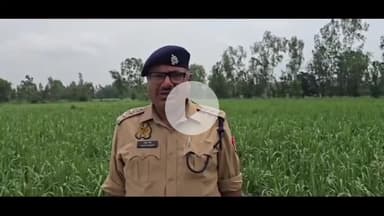 अमरोहा: गांव शाहबाजपुर कलां मजरा मढैया के जंगल में अज्ञात युवक की सिर में गोली मारकर की गई हत्या, जांच में जुटी पुलिस