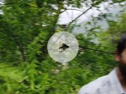 ये हाल है ग्राम सभा भाटकोट ब्लॉक लमगड़ा जिला अल्मोड़ा एक आम रास्ता के ये हाल।है क्या फ़ायदा पद मै रहने का लोगों का