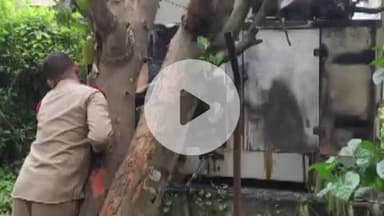 ବାଣପୁର: ବାଉଁଶ ମୂଳ ଛକ ରେ ମୋବାଇଲ ଟାୱାର ଡିଜି ରେ ଲାଗିଲା ନିଆଁ. ପହଁଚିଲା ଟାଙ୍ଗୀ ଅଗ୍ନିଶମ ବାହିନୀ