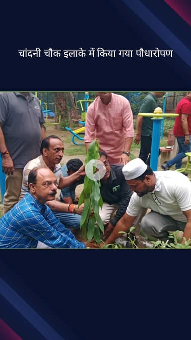 कोतवाली: चांदनी चौक में जिला भाजपा ने आपातकाल के 50वें वर्ष पर किया पौधारोपण कार्यक्रम