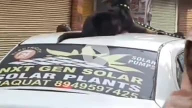 अजमेर: दरगाह बाजार में कार की छत पर पेट डॉग को घूमाने का वीडियो हुआ वायरल, दरगाह थाने में मुकदमा दर्ज