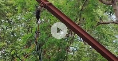 ग्वालियर गिर्द: ग्वालियर: ऐतिहासिक किले पर बिजली के खंभे से टकराया ट्रक, वीडियो आया सामने