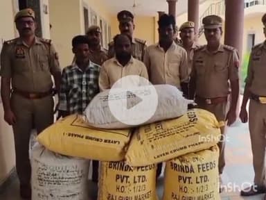 बरेली: बारादरी थाना प्रभारी की बड़ी कार्रवाई, 15 लाख रुपए के डोडा छिलका के साथ 3 तस्करों को किया गिरफ्तार