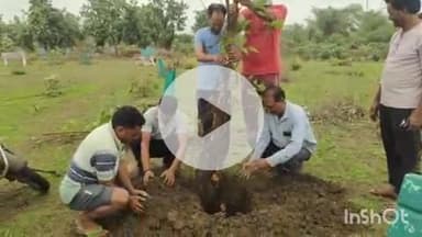 बमोरी: बमोरी कब्रिस्तान में मुस्लिम समाज के युवाओं ने किया वृक्षारोपण, रखरखाव का लिया संकल्प