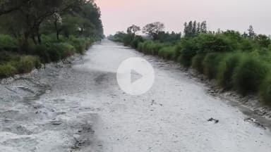 जयसिंहपुर: शारदा सहायक खंड 16 नहर में जल्द पानी आने की संभावना, विभाग ने किसानों को दी जानकारी, मिलेगी राहत