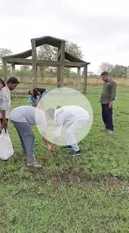 पचोर: संस्था प्रयास का प्रयास: पचोर नगर को हरा-भरा बनाने के लिए मुक्तिधाम व मेला ग्राउंड में समाजसेवी लगाएंगे 100 पौधे