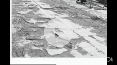 मीरगंज: शीशगढ़ में टूटी सड़कों से कावड़ यात्रा पर संकट, मुख्यमंत्री पोर्टल पर की गई शिकायत