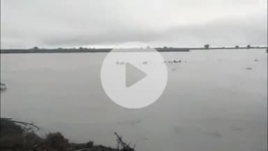 मांगरौल: उपखण्ड क्षेत्र मांगरोल में मंगलवार को 180 एमएम बारिश दर्ज, आसपास के गांवों के खेतों में पानी ही पानी नजर आ रहा