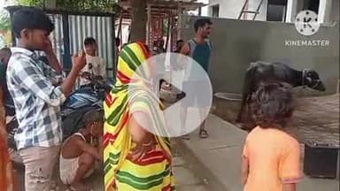 बक्सर: कोचाढ़ी में पशुओं की योजना और 1962 डायल के लाभों की जानकारी के लिए नुक्कड़ नाटक आयोजित